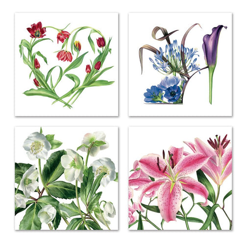 Eco-friendly blank greetings cards with 4 designs