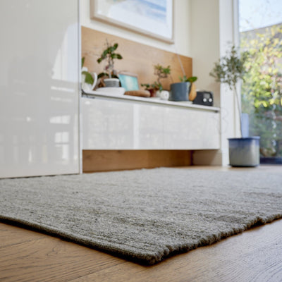 Wool rug in modern living room