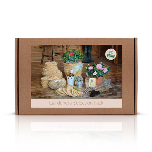 Garden box