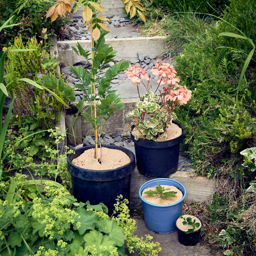 8" round jute mulch mats pack of 25