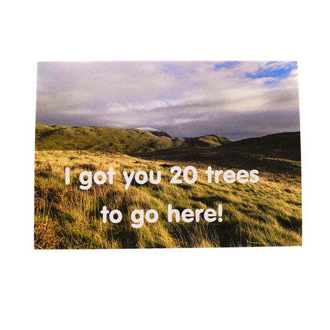 Chimmey Sheep Buy Land Plant Trees Voucher card to plant 20 trees.