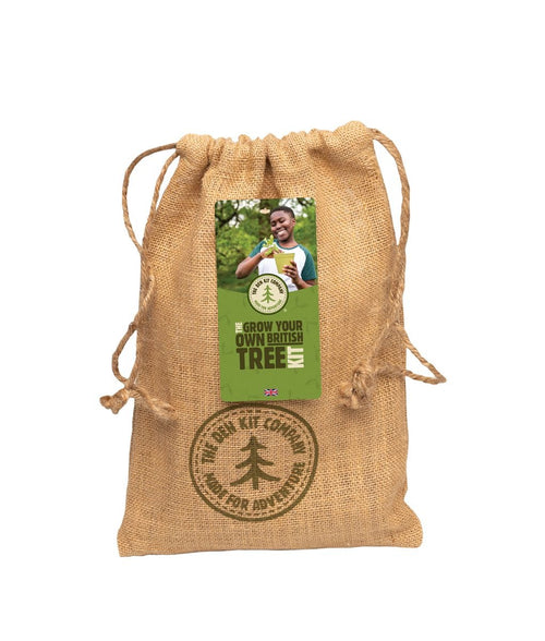 Eco-friendly contents of the Grow Your Own British Tree Kit.