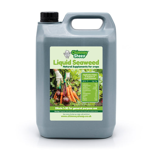 5 litre container made of recycled plastic with liquid seaweed fertiliser from the Hebrides