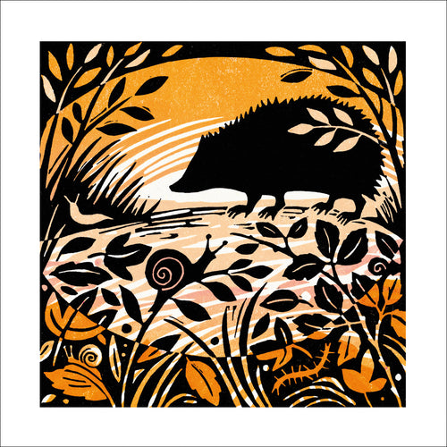 Late Sun at Port Isaac Blank Card Design