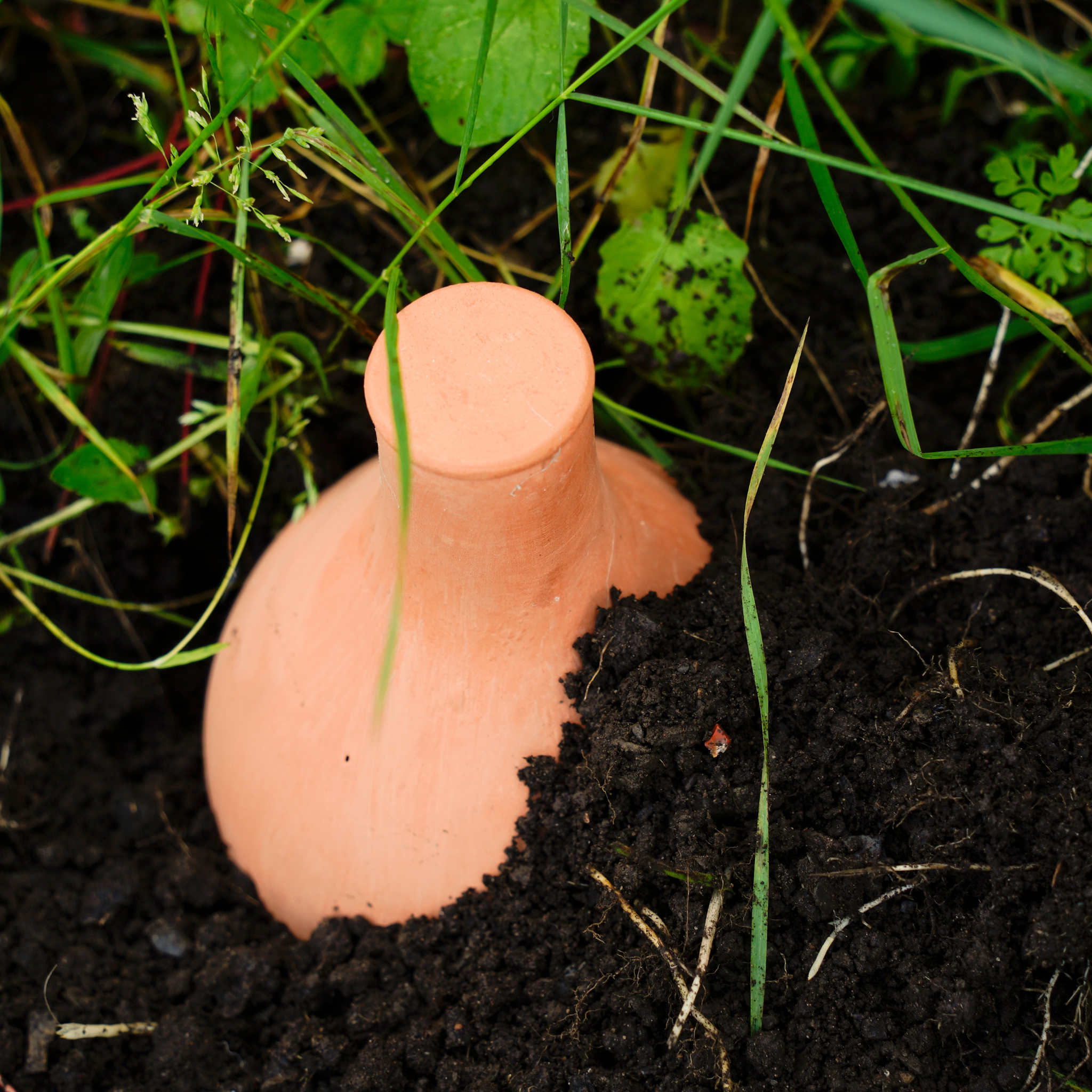 Terracotta Olla in the ground of a garden