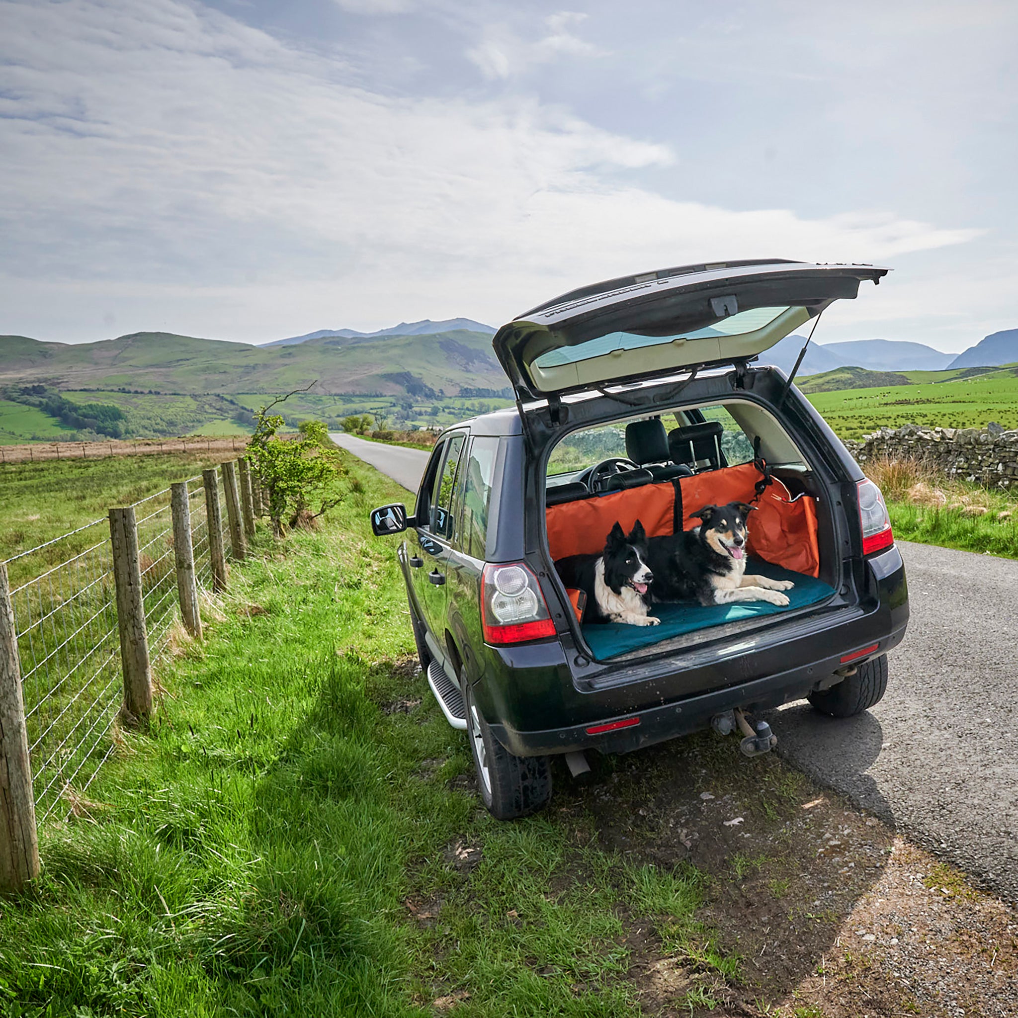 Two border collies, one black and white and the other tricolour sit upon a blue Chimney Sheep woollen flat rollup travel dog bed in the boot of a car