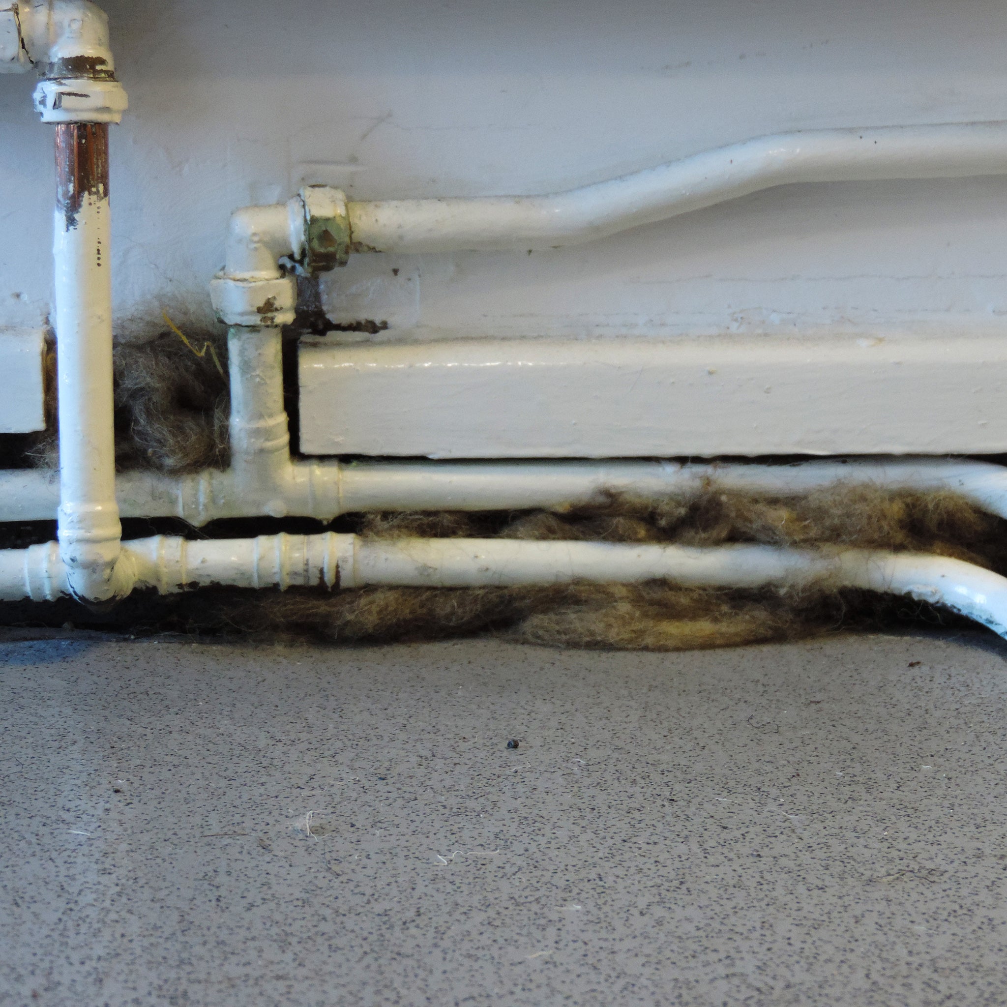 sheep wool insulation around pipe work in the home