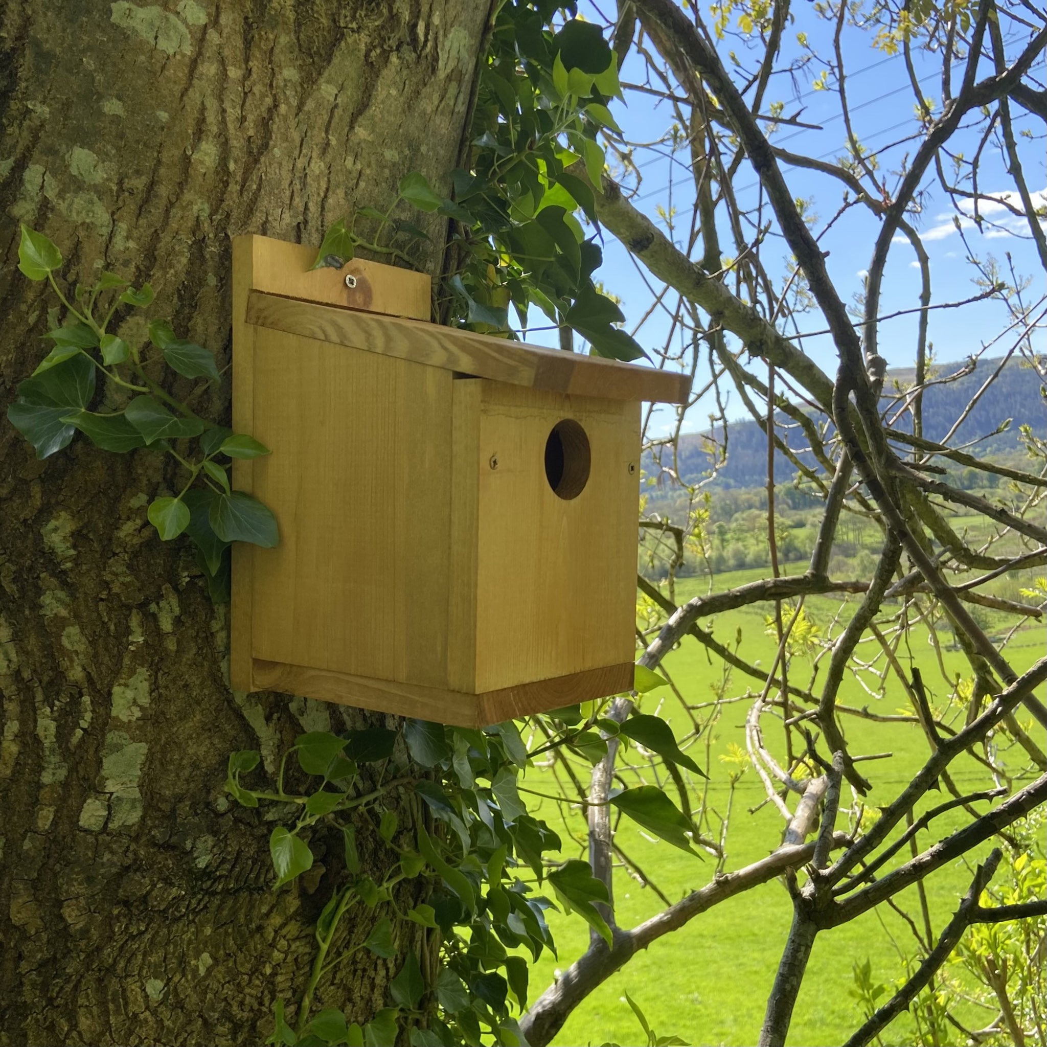 classic bird nest box outside