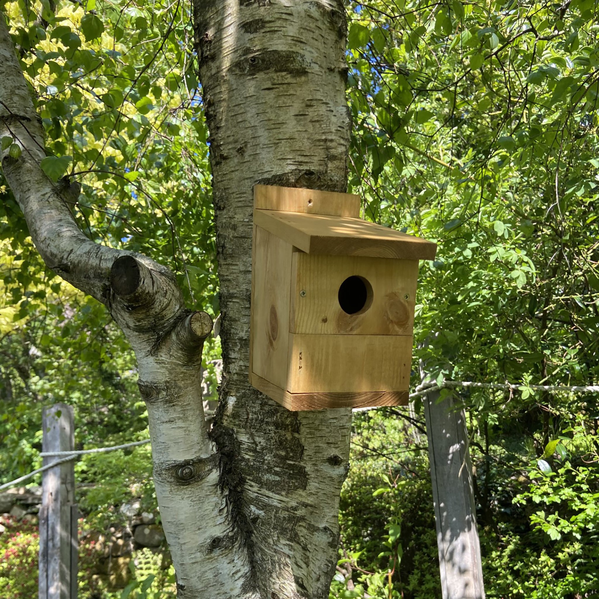 Multi species nest box