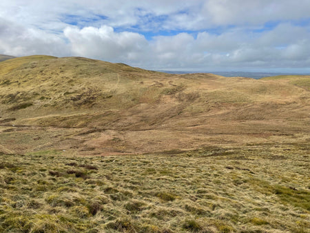 Crabtree Beck, Low Fell