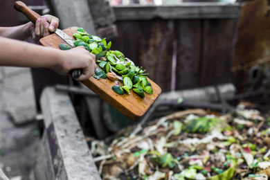 Compostable food waste going into a composter