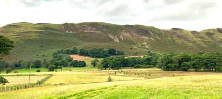 The front of Low Fell, showing Raven Crag