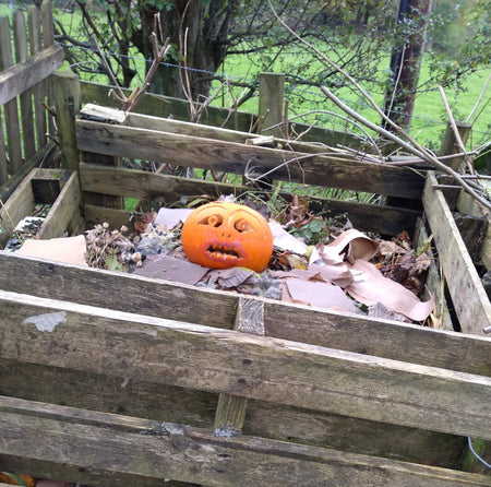 Love the Halloween fun, hate the waste?