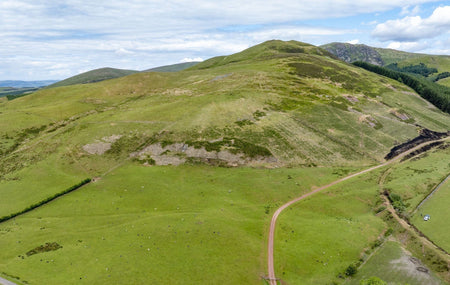 Knock Murton Fell in the western Lake District, bought by Buy Land Plant Trees CIC rewilding project