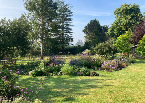 Natural garden felt for no dig gardening