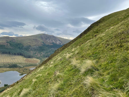 North flank of Knock Murton, showing steep sided grassy slope and Cogra Moss at the bottom. 
