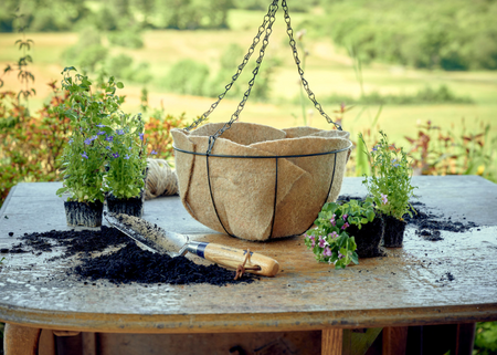 Metal hanging basket with a natural jute liner inside, surrounded by peat-free compost