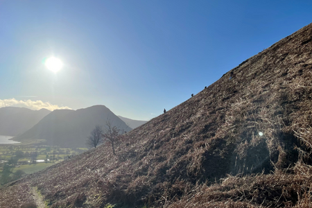 A group of tree planters planting trees in the bracken on Raven Crag Low Fell