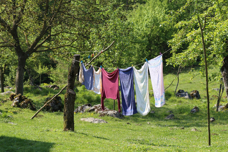 laundry pegged out on the line to flap among trees is a nice image for eco-friendly laundry