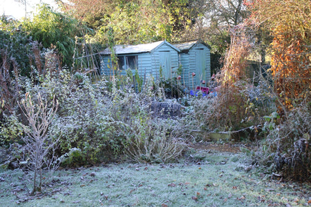 raised veg beds and two sheds painted light green all with dusting of frost for winter garden