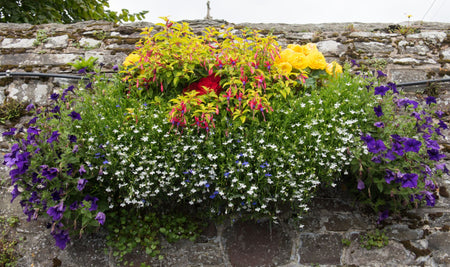 hanging basket full of flowers hanging against a stone wall