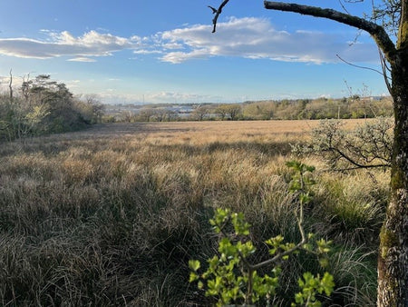 Exciting Update for Buy Land Plant Trees CIC!