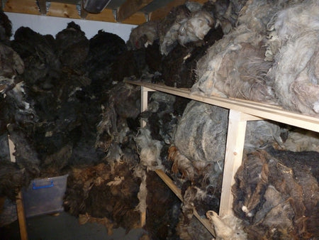 A cupboard with shelves full of unwashed wool