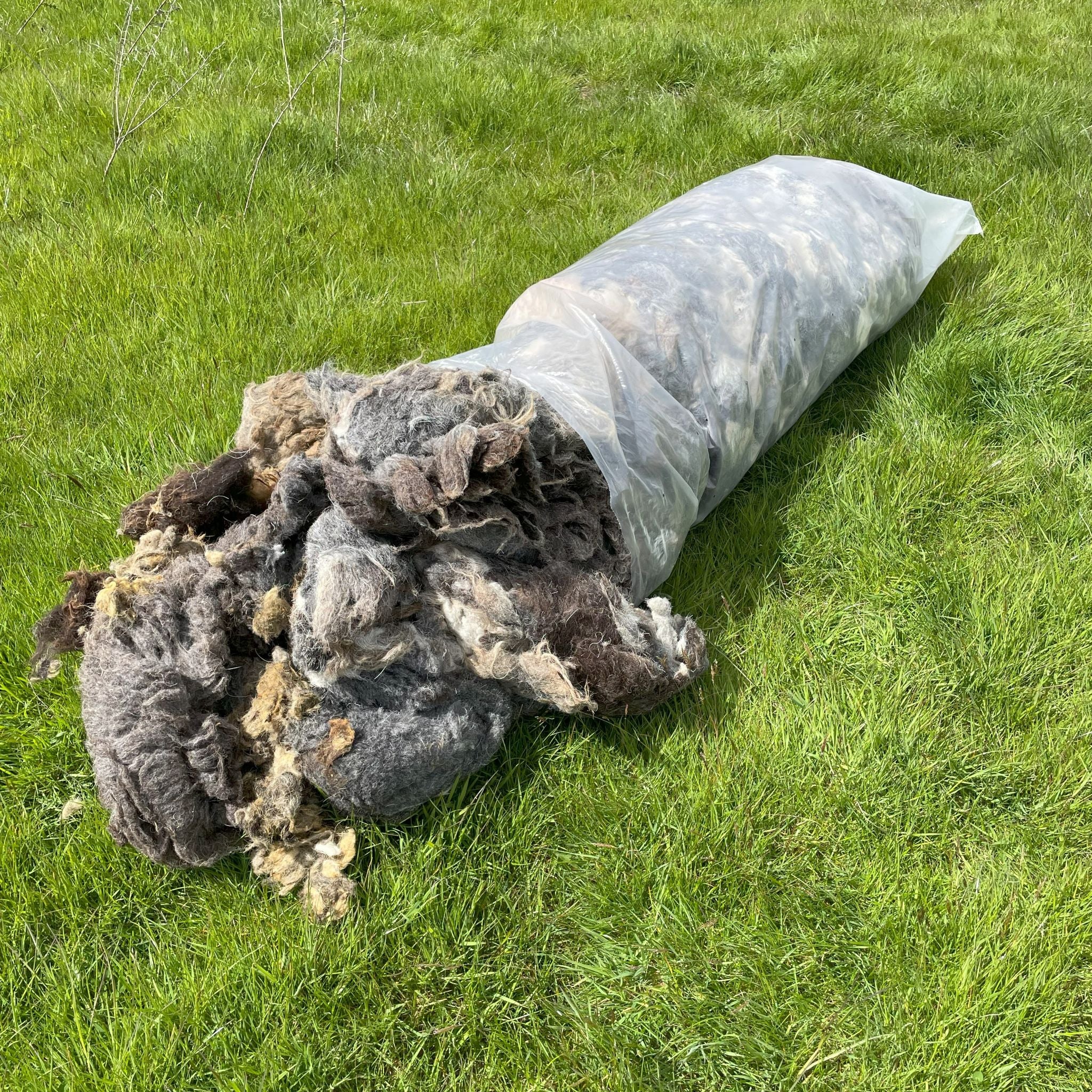 Raw Sheep Wool 10kg