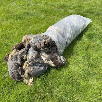 Raw Sheep Wool 10kg