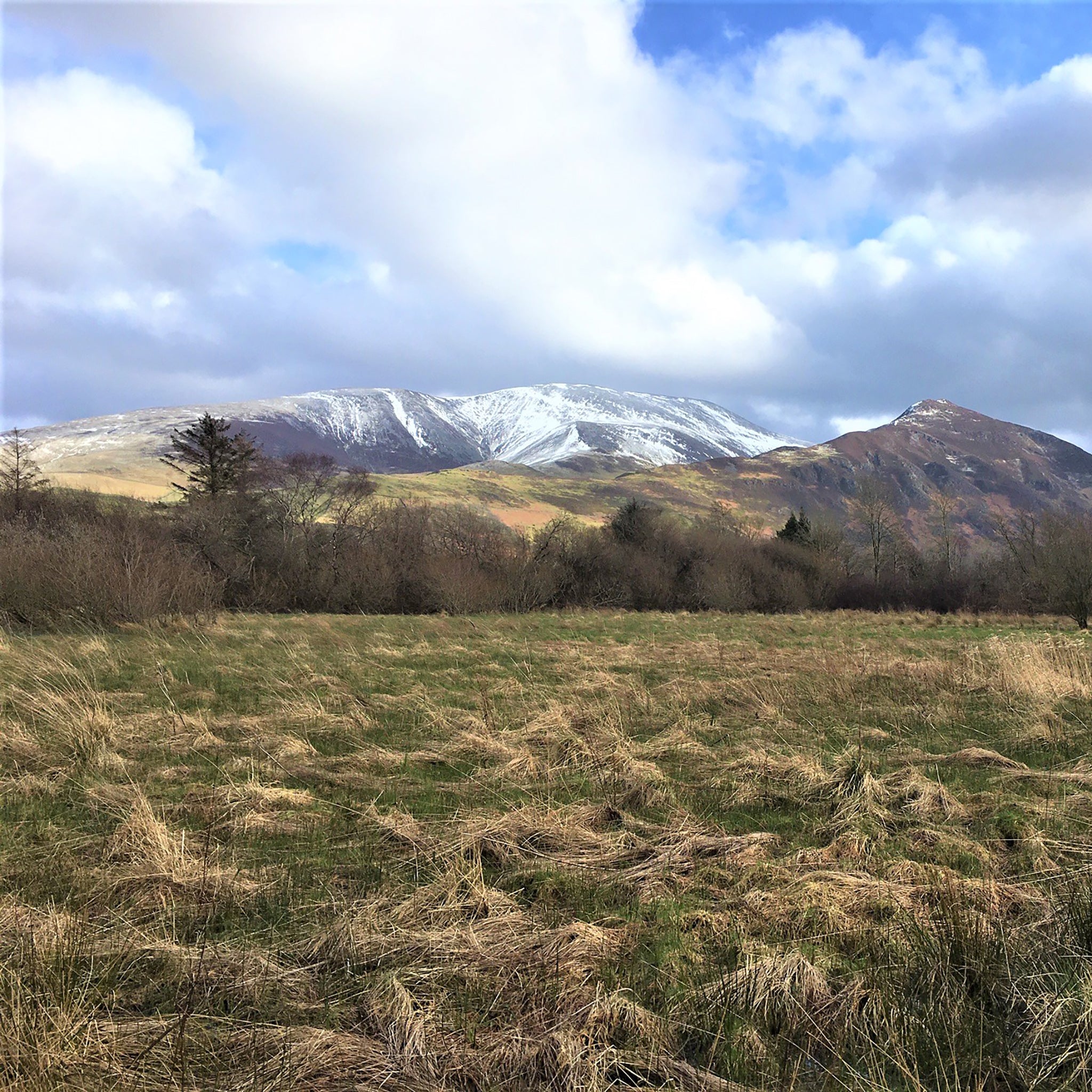 13 acre field Skiddaw with snow - BLPT 20 trees voucher locations