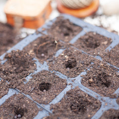 rubber cell seed tray thumbnail