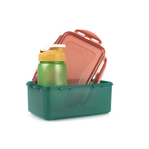 recycled plastic lunch set
