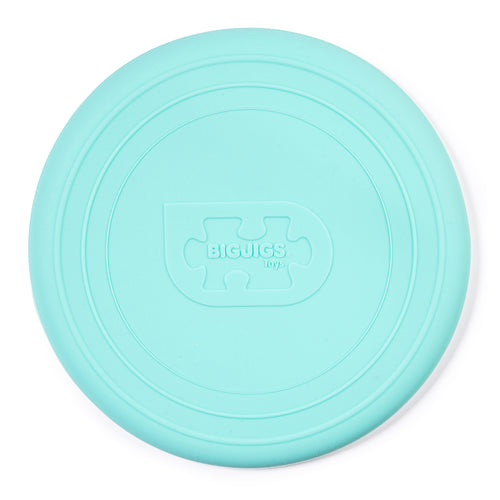 Cherry Red Plastic Free Frisbee