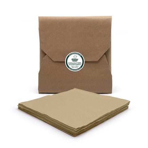 22cm napkins pack of 20 in packaging 