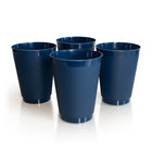 Adventure plastic cups