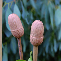 Nutscene Wooden Cane Toppers thumbnail