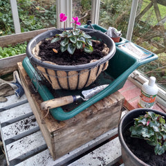 Hanging basket with liner thumbnail