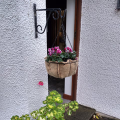 Hanging basket with liner thumbnail