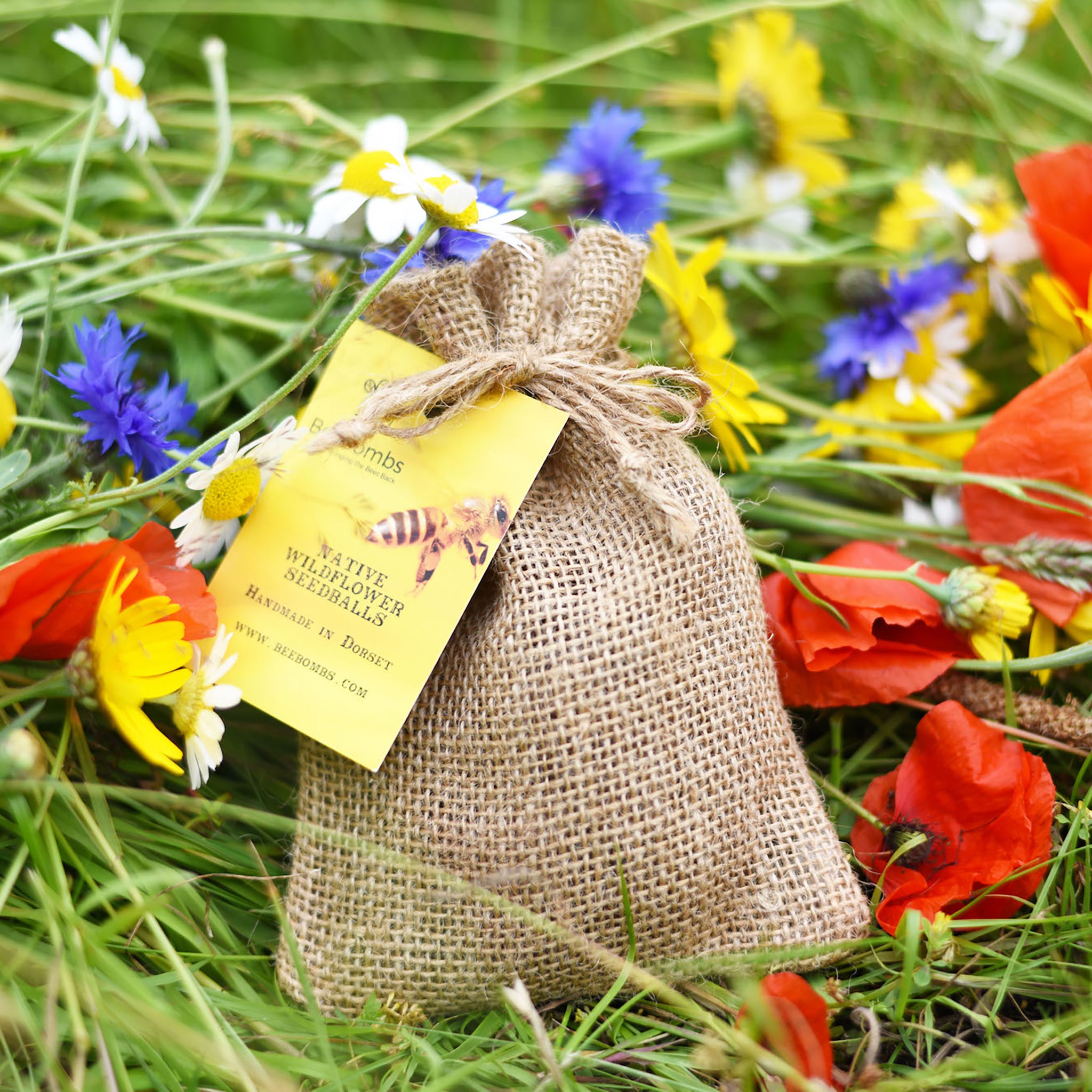 wildflower seed bombs uk Bee Bomb Wildflower Seed Balls – Chimney Sheep