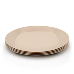 Bioplastic plates made from waste sugarcane thumbnail
