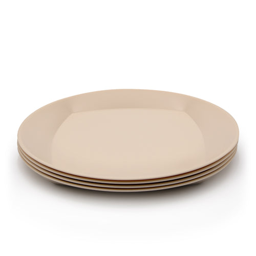 Bioplastic plates made from waste sugarcane