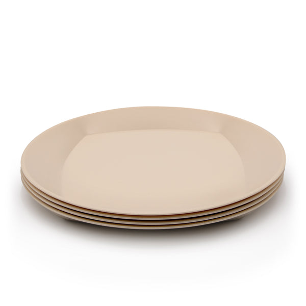 Bioplastic plates made from waste sugarcane