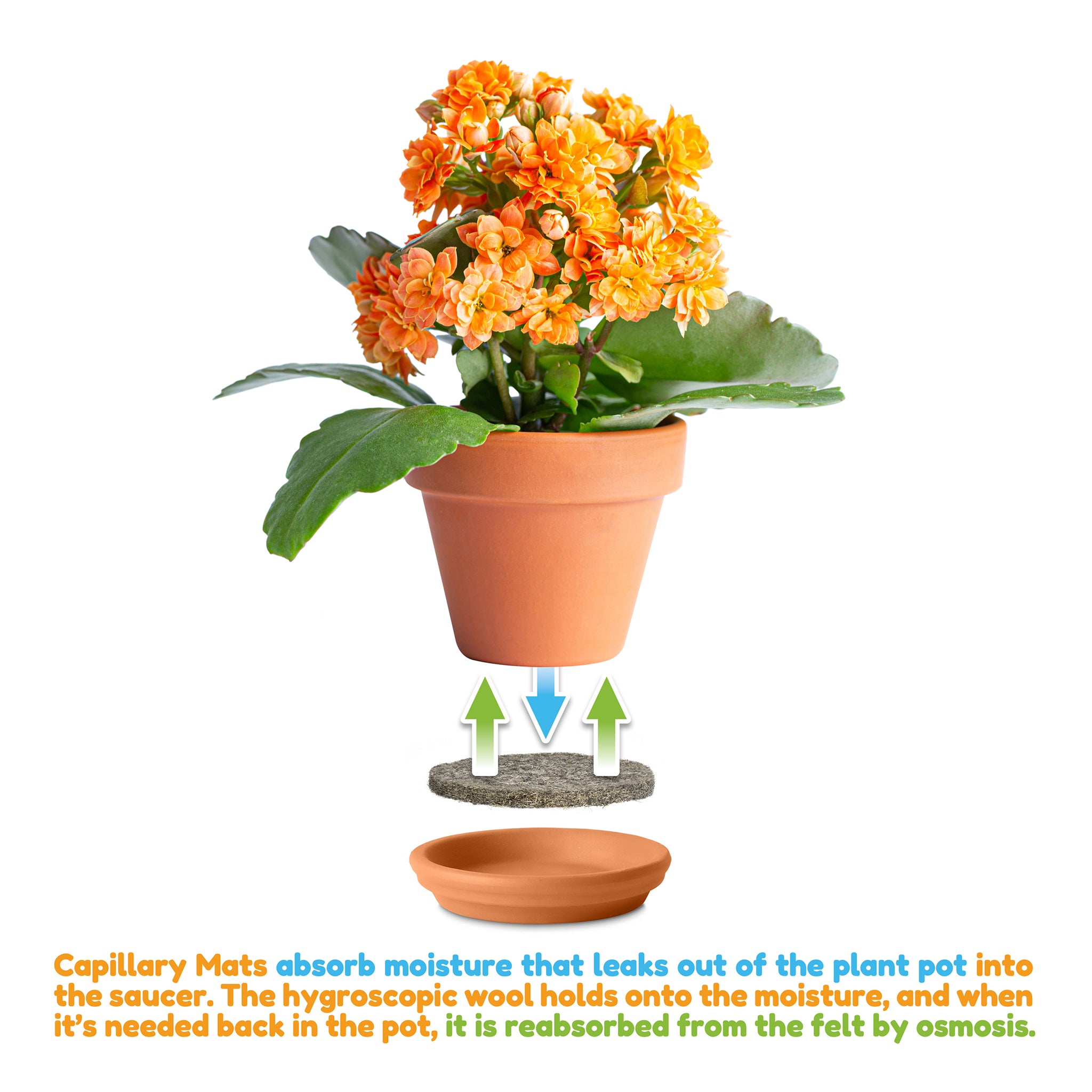 Illustration of how capillary mats work. Photo showing mat between plant pot and saucer.