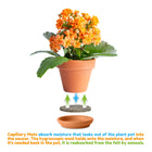 Illustration of how capillary mats work. Photo showing mat between plant pot and saucer.