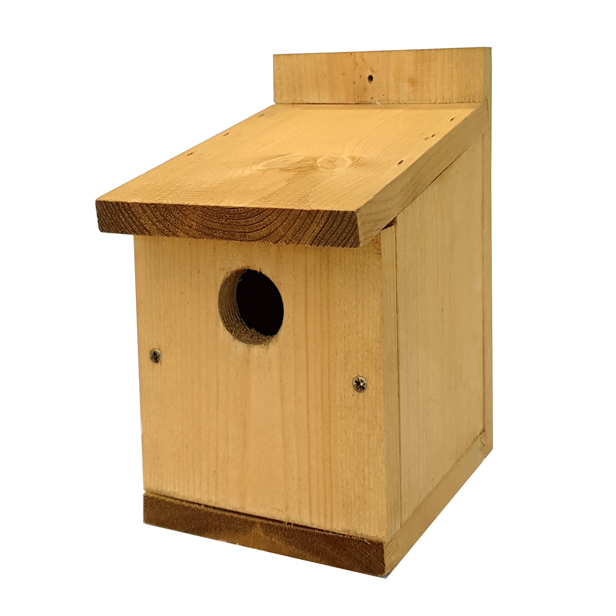 Classic Bird Box with a white background