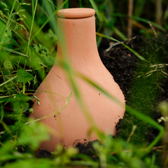 Close up of olla in the ground thumbnail