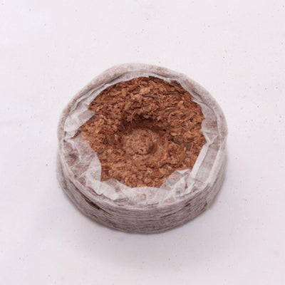 Coir Coin