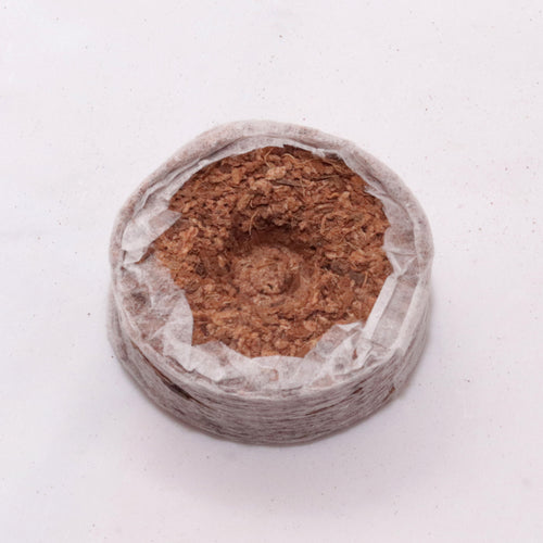 Coir Coin