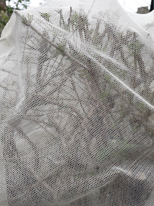 Organic vegetable protection net covering plants.