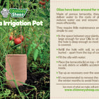 4 litre olla irrigation pot in raised bed with tomatoes, with text for product label describing how to use the olla